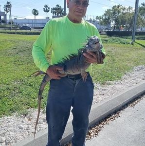 Meet your Posher, Felipe